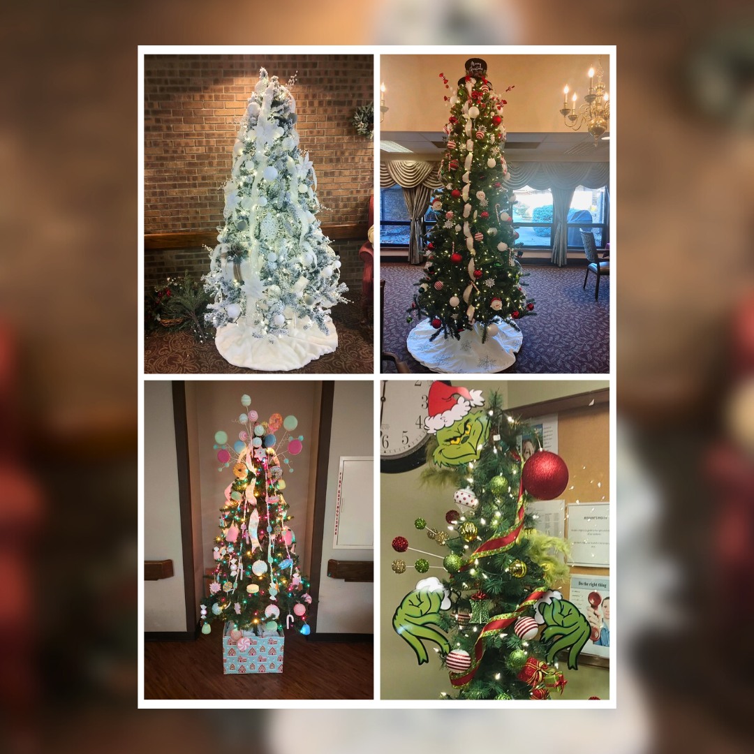 Christmas trees decorated at Saint Anthony's!